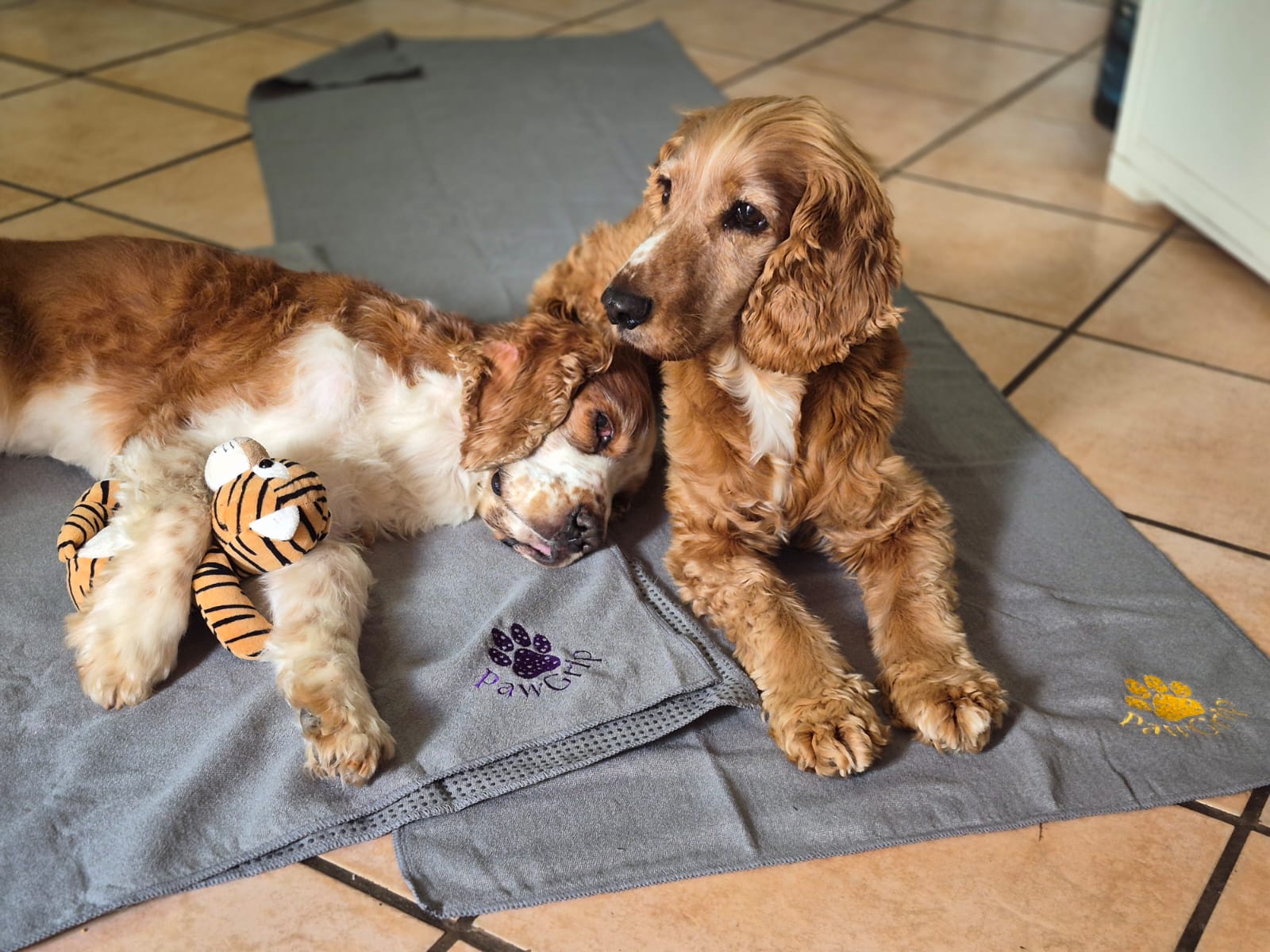 PawGrip Image 6