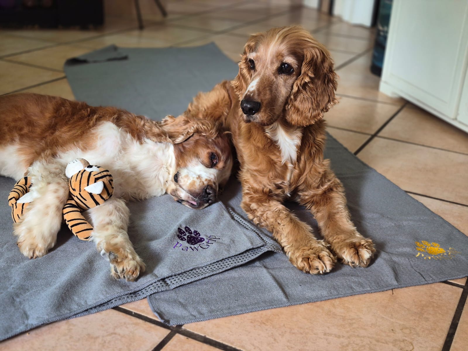 PawGrip Image 7
